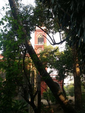 Ohel David Synagogue
